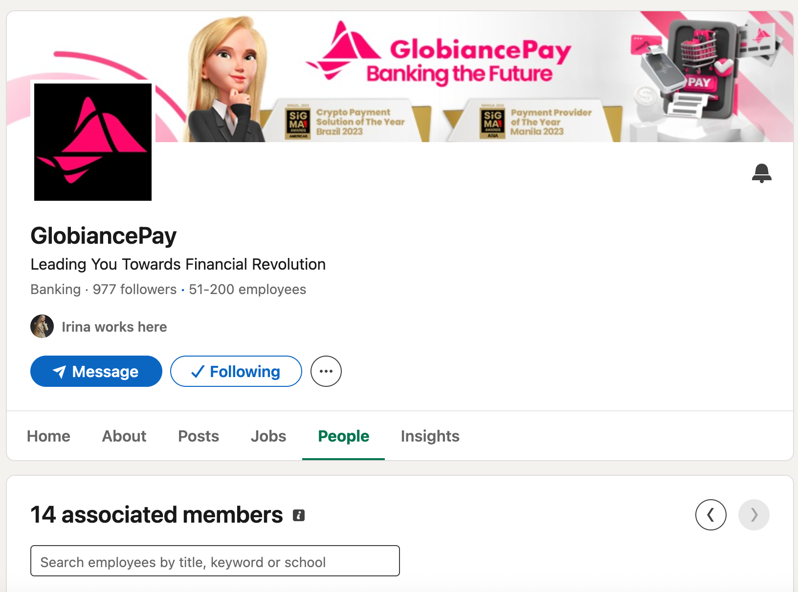 LinkedIn GlobiancePay 14